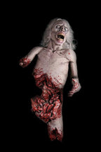 Die Zombie Die product image 4