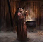 68" Soothsayer Witch Fortune Teller with Crystal Ball Animated product image 1