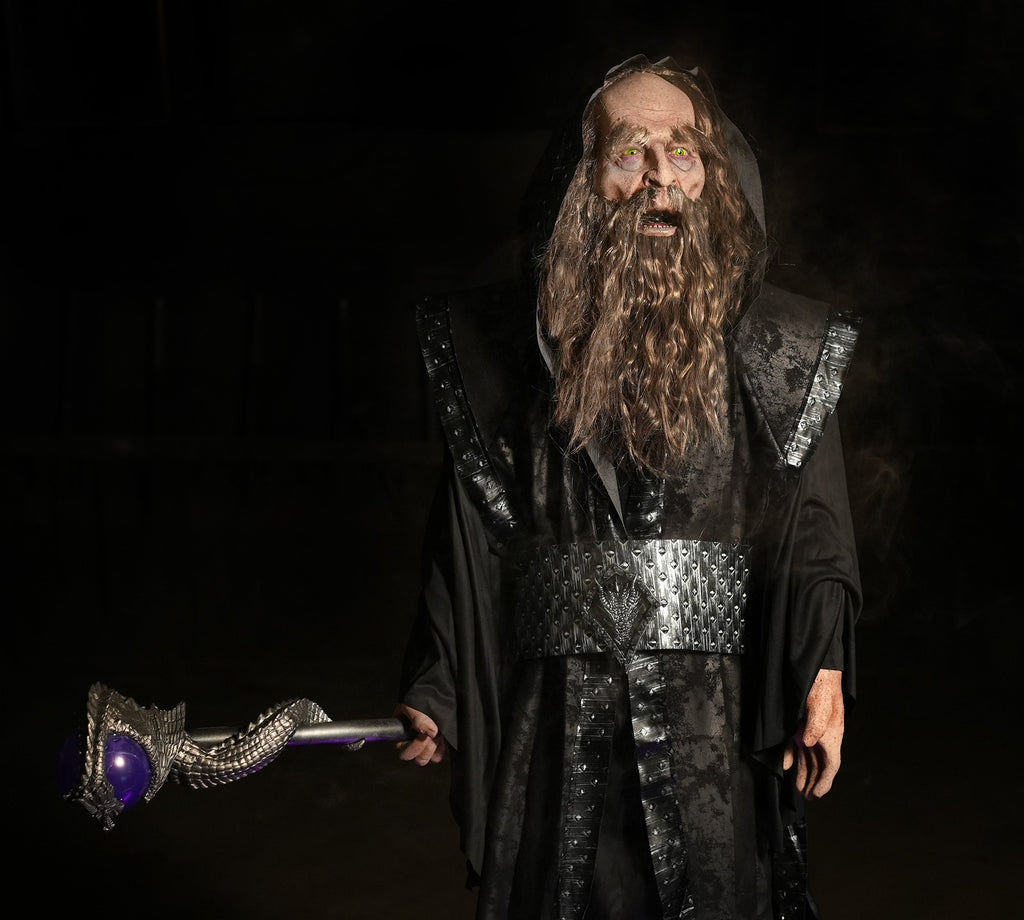 Ancient Wizard product image 9