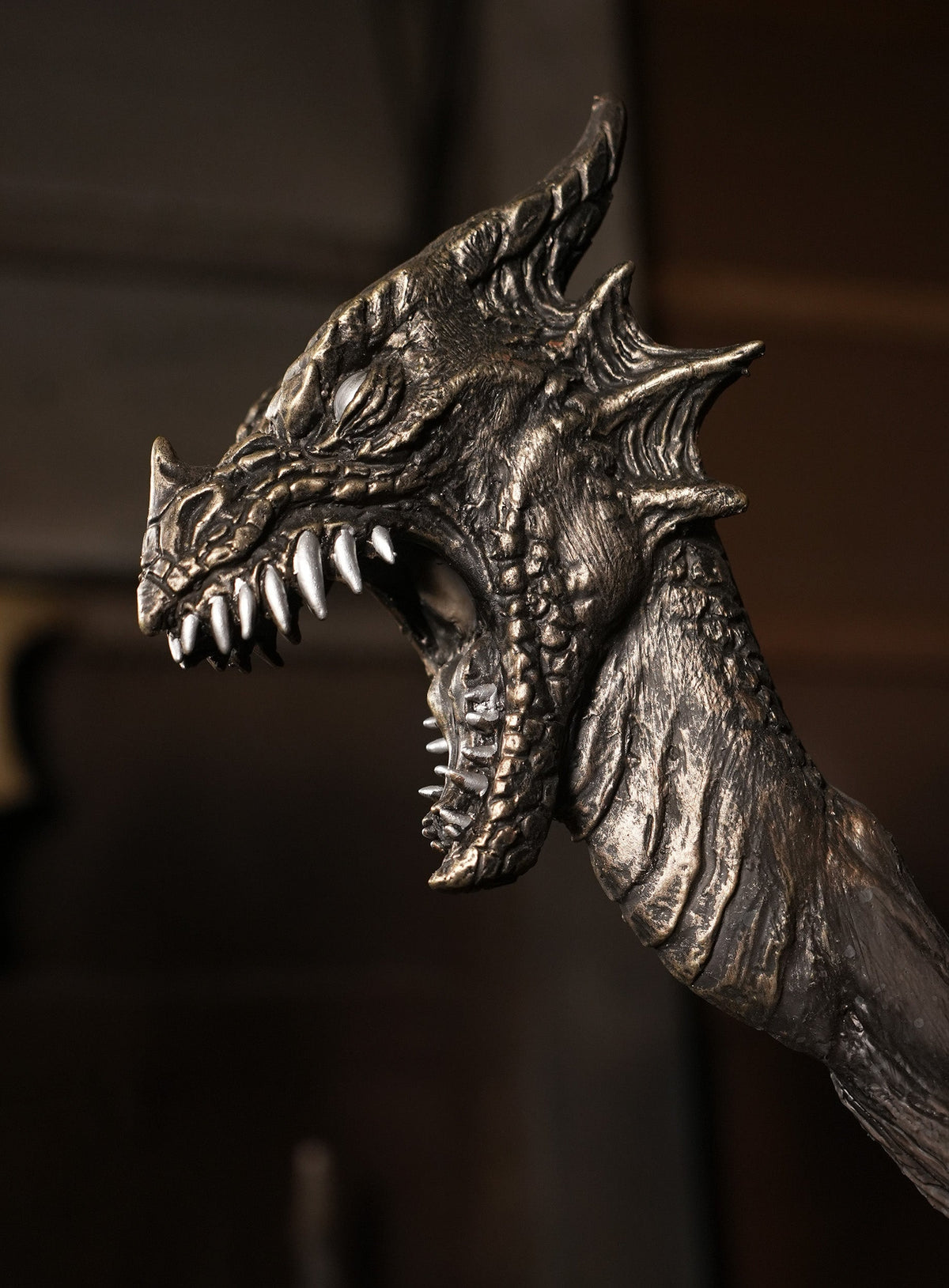 Ancient Wizard product image 3