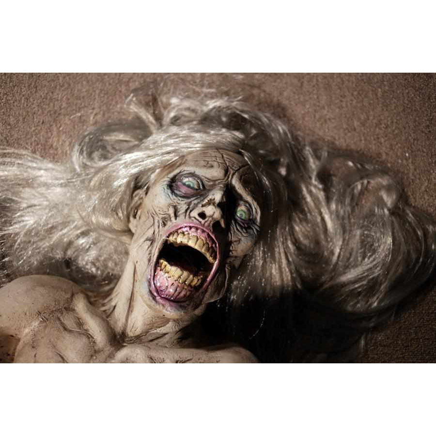 Die Zombie Die product image 3