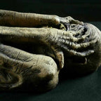 Ancient Mummy product image 4