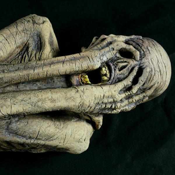 Ancient Mummy product image 1