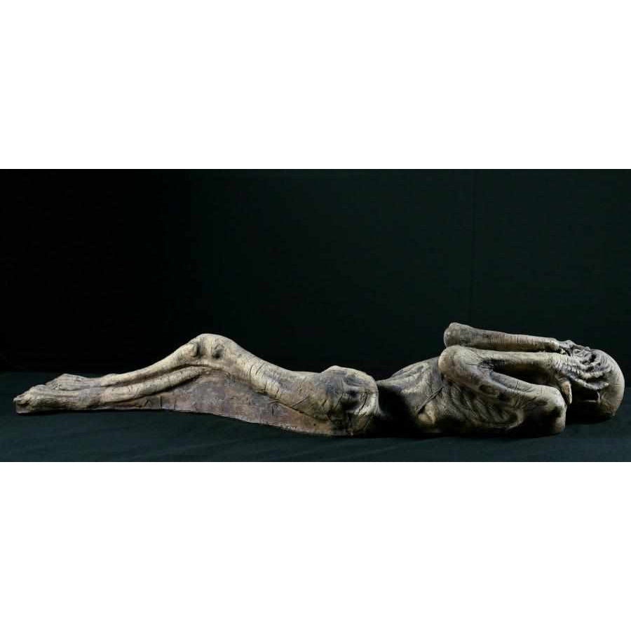 Ancient Mummy product image 3