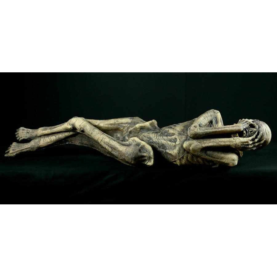 Ancient Mummy product image 2