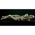Ancient Mummy product image 2